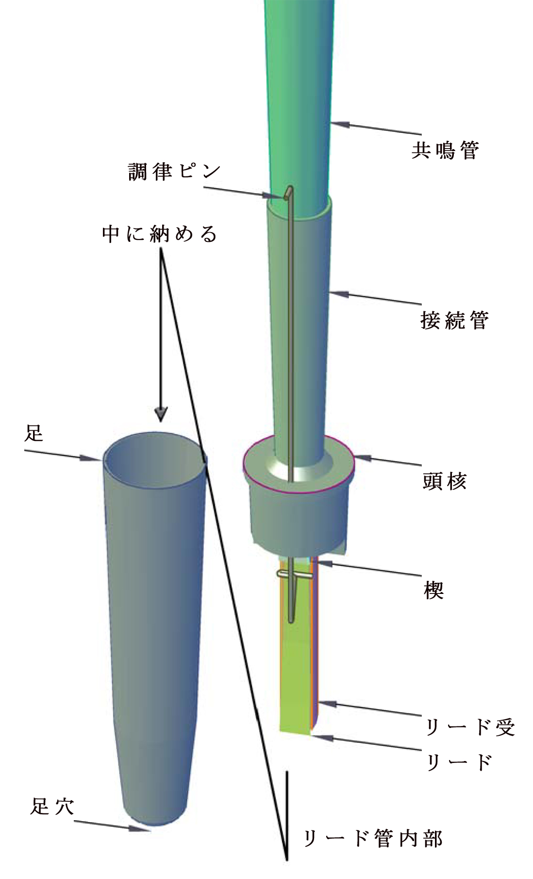 Figure 2 — A reed pipe with the boot opened to show the shallot, brass tongue, and the tuning wire (spring) that sets the free vibrating length of the tongue — tapping it down shortens the tongue and sharpens…